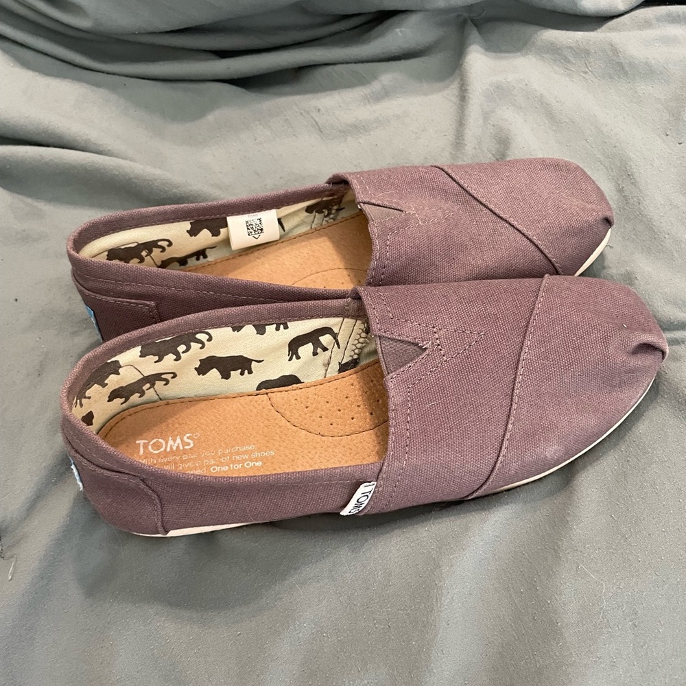 Grey TOMS
